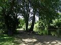 2014-0606_1505_CannonHillCommon_23C